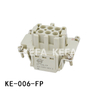 KE-006-FP Insatser