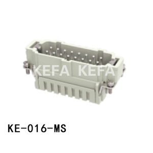 KE-016-MS Insatser