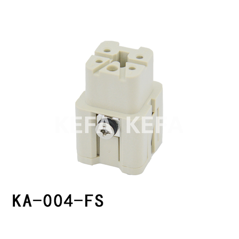 KA-004-FS Insatser