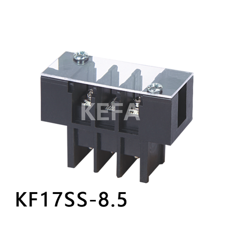 KF17SS-8.5 Spärrplint