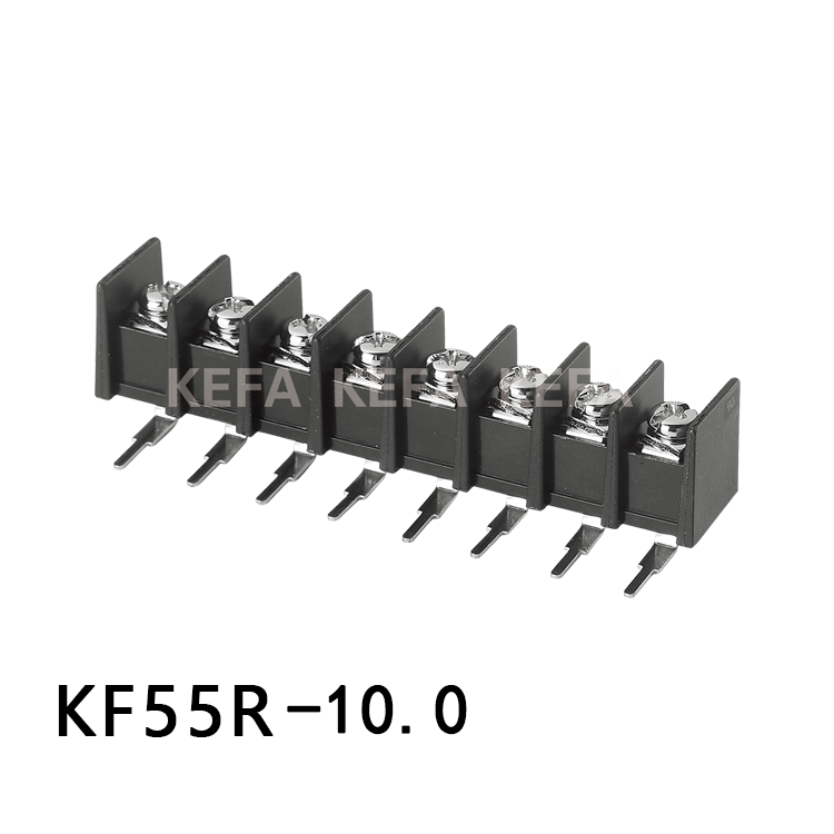 KF55R-10.0 Spärrplint