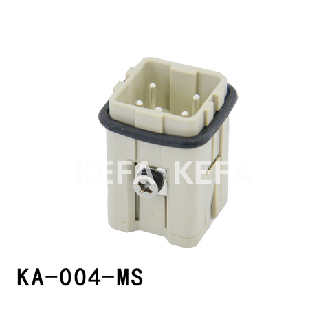 KA-004-MS Insatser