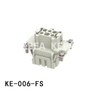 KE-006-FS Insatser
