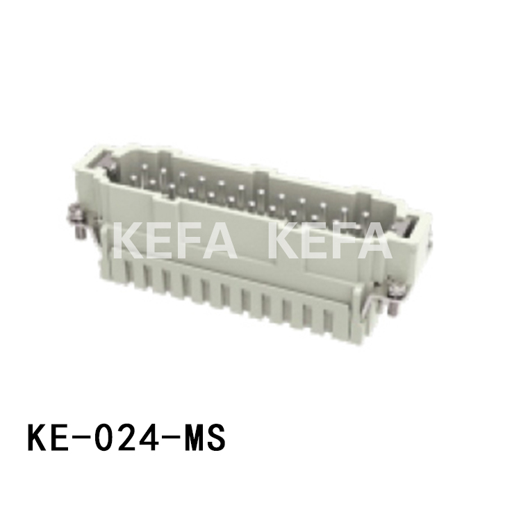 KE-024-MS Insatser