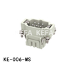 KE-006-MS Insatser